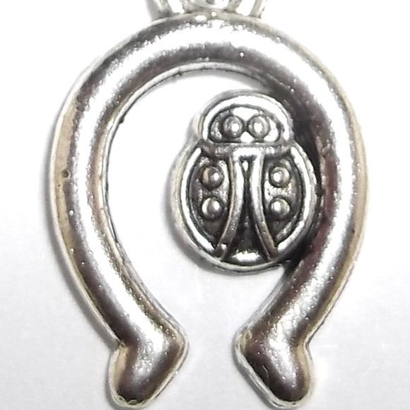 Silver Necklace Ladybug Horseshoe Good Luck Symbol Sign Gift Girl Jewelry C508 - Picture 5 of 7